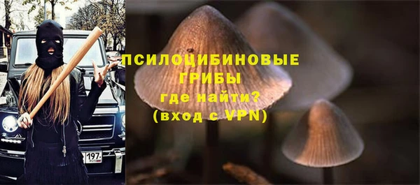 молекула духа Аркадак