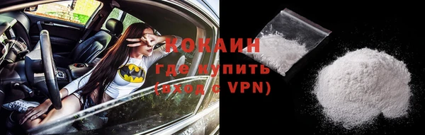 гашик Арсеньев