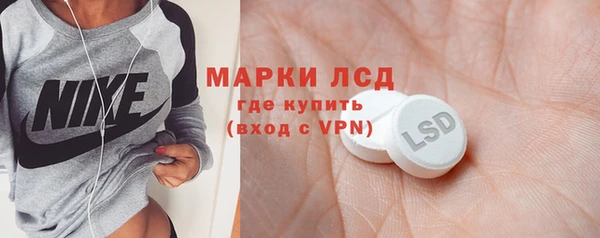 гашик Арсеньев