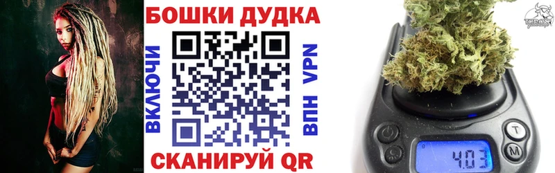 купить наркотик Лахденпохья Каннабис Amnesia
